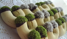 Fıstıklı Kurabiye Tarifi ve Malzemeleri